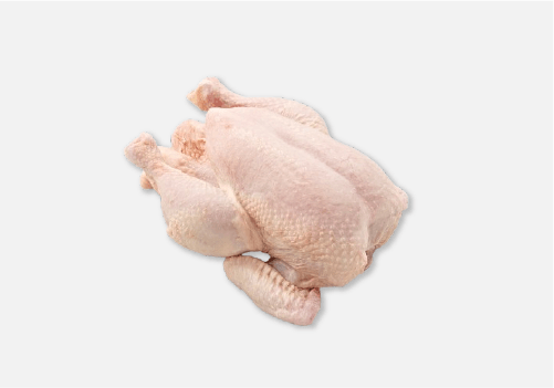 Chicken-Broiler-Whole